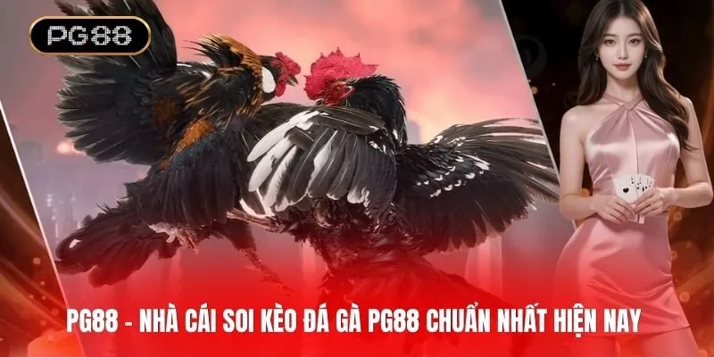 Bí kíp soi kèo đá gà PG88 chuẩn nhất hiện nay
